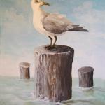 "Seagull"
9" x 12" , Acrylic
$100