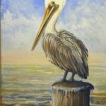 "Brown Pelican"
9" x 12", Oil
$125